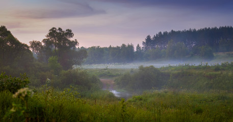 The misty Morning on the River