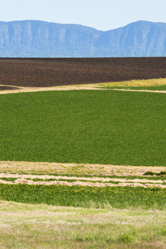 Country agricultural and farming field