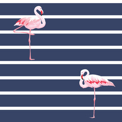 Obraz premium Pink flamingo seamless pattern with stripes