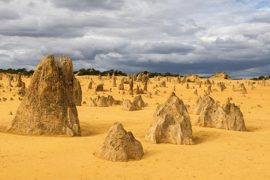 Pinnacles Desert in the Nambung National Park