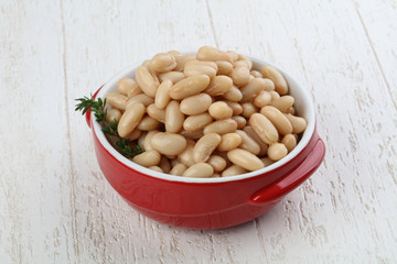 White canned kidney