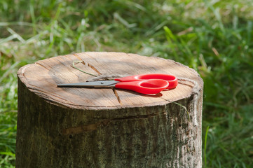 scissors on a stump