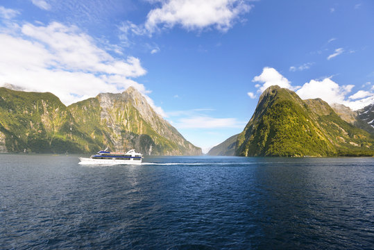 Cruise in Milford Sound, New Zealand