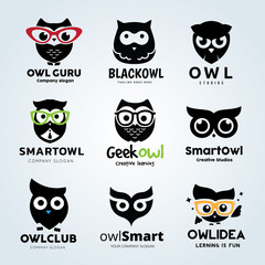 Obraz premium Owl logo set 