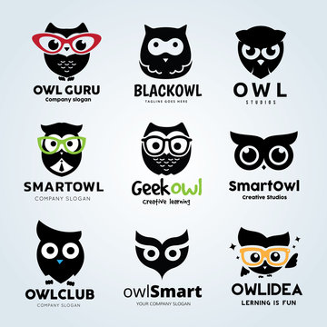 Owl logo set 