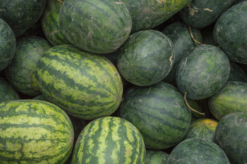 the image of green watermelon on straw in farm