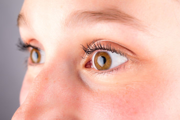 Obraz premium Detailed close up of an brown eye in high definition