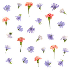 Red carnation and blue flowers floral pattern isolated on white background 