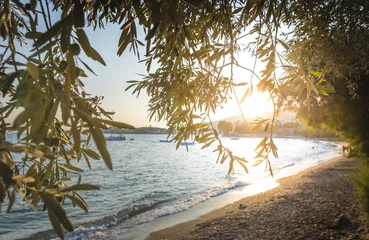 Fotobehang Olive trees, sea and sunset © Deyan Georgiev