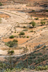 Landscape of fields and mountains near Antigua village, Fuerteventura, Canary Islands, Spain