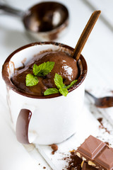 Homemade chocolate ice cream in rustic cup