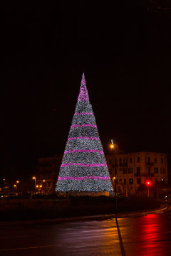 Albero Bauli