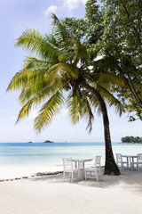 Plakat Paradise beach, Praslin island, Seychelles