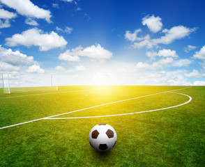 Plakat soccer ball on the grass