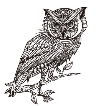 Zentangle stylized owl. Vector Hand Drawn sketch for tattoo design or makhenda. owl black and whtie, single owl black color, owl under tree