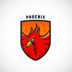 Bird in a Shield Vector Emblem or Logo Template. Fire Phoenix Illustration. Perfect for Sport Team, League Labels.
