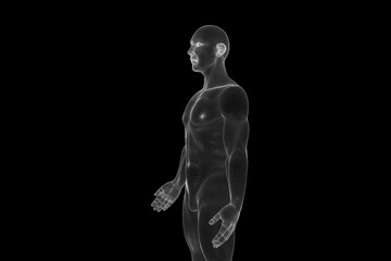Male Human 3D Wireframe Hologram in Motion. Nice 3D Rendering
- 115218019