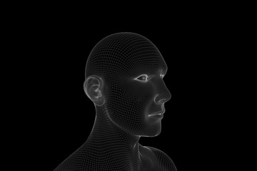 Male Human 3D Wireframe Hologram in Motion. Nice 3D Rendering
