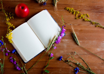 Still life in a rustic style with vintage book, wild flowers, a