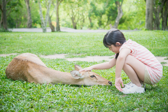 Beautiful Asian girl consolating antelope