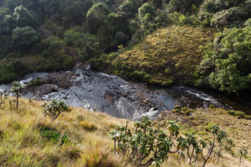 Landscape in Horton Plains National Park, Sri Lanka.