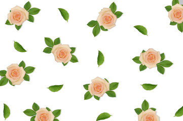 Pattern with pink roses and green leaves at white background. Fl