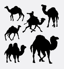 Camel and dromedaries animal silhouette. Good use for symbol, logo, web icon, mascot, element, sticker design, or any design you want.