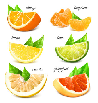 Fresh citrus fruits.