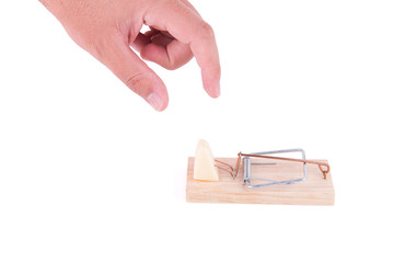 Wooden mousetrap with a cheese