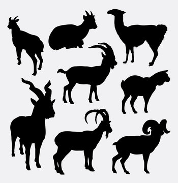 Goat and llama wild animal silhouette. Good use for symbol, logo, web icon, mascot, sticker design, sign, element, or any design you want.