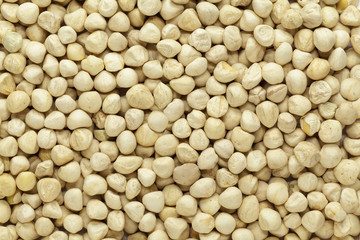 Organic kernel of Moringa (Moringa oleifera) seeds. Macro close up background texture. Top view.