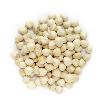 Organic kernel of Moringa (Moringa oleifera) seeds isolated on white background. Macro close up. Top view.
