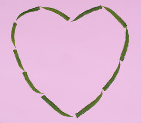 Fototapeta na wymiar the heart of the green fern leaves