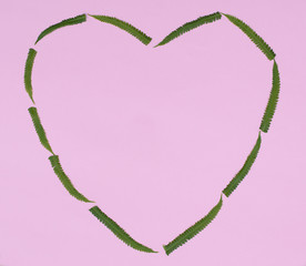 the heart of the green fern leaves