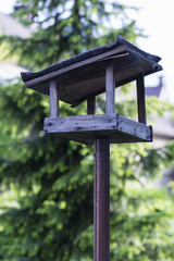 bird feeder in the garden