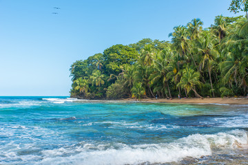 Paradise wild beach of Manzanillo Park in Costa Rica