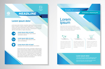 Vector Brochure Flyer design Layout template, size A4, Front page and back page, Easy to use and edit.