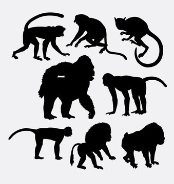 Monkey, gorilla, and baboon animal silhouette. Good use for symbol, logo, web icon, mascot, sticker design, element or any design you want. awesome, 