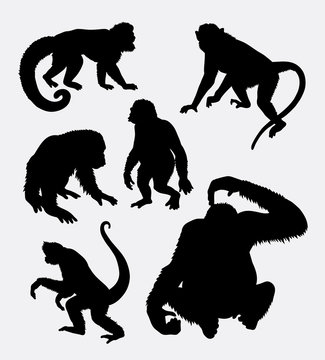 Monkey, orangutan, chimpanzee animal, Good use for symbol, logo, web icon, mascot, sticker design, element, or any design you want. Easy to use.