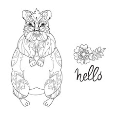 Hand drawn animal quokka doodle