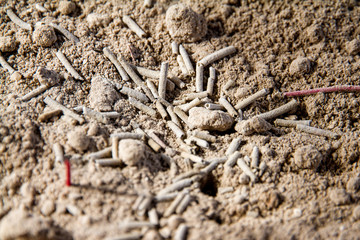 Ash Joss in incense burner