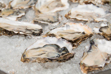 Fresh half-shell oyster on ice