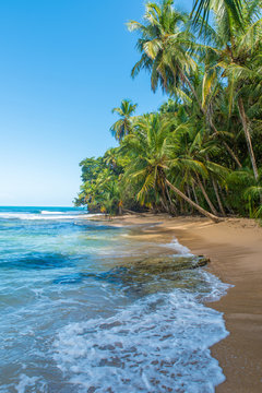 Paradise wild beach of Manzanillo Park in Costa Rica