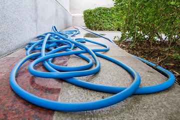 Blue garden hose tube for watering plants in the garden