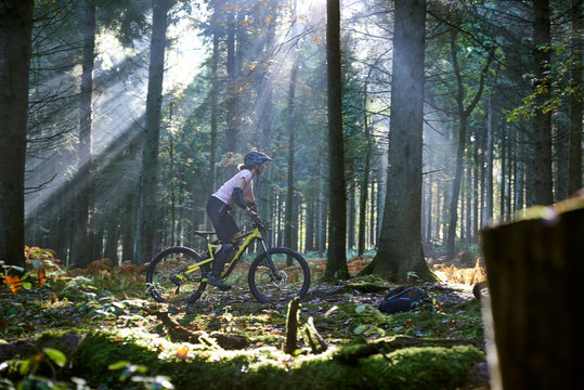Female mountain biker cycling through sunbeam lit Forest of Dean, Bristol, UK