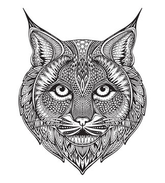 Hand drawn graphic ornate bobcat