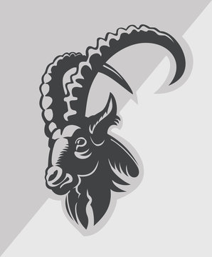 Head goat.