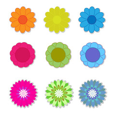 Flower vector on white background