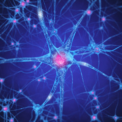 Neural network , Brain cells , Human nervous system , Neurons