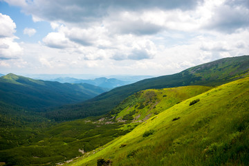 Naklejka premium Carpathian's landscape